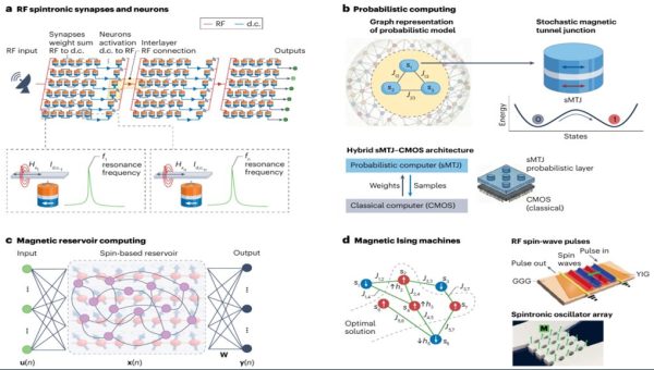 A Technical Review paper on spin-based computing published in Nature Reviews Physics